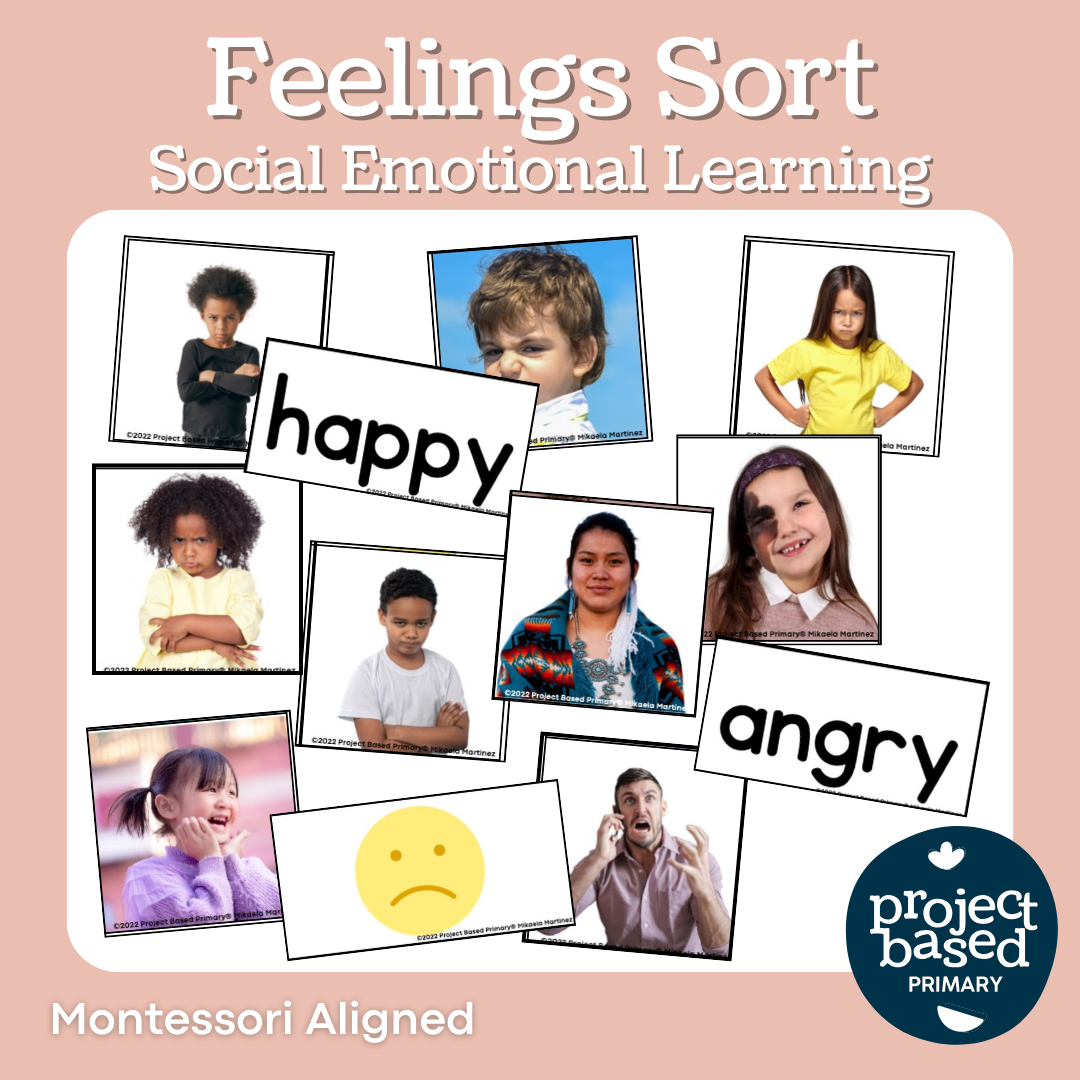 Feelings Sort | Social Emotional Learning – Project Based Primary