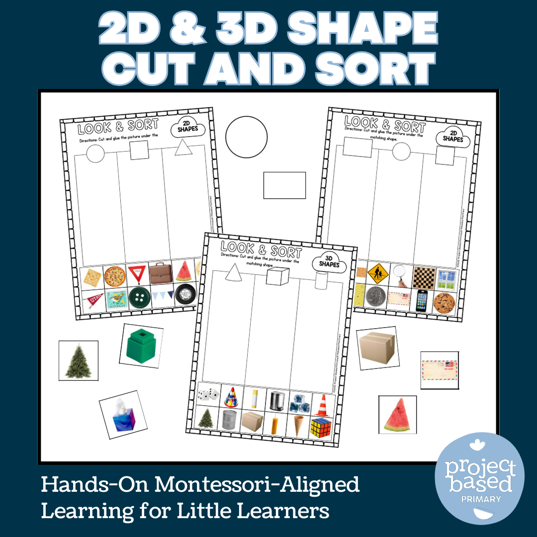 2D & 3D Shape Sort + Cut & Sort Shape Worksheets – Project Based Primary