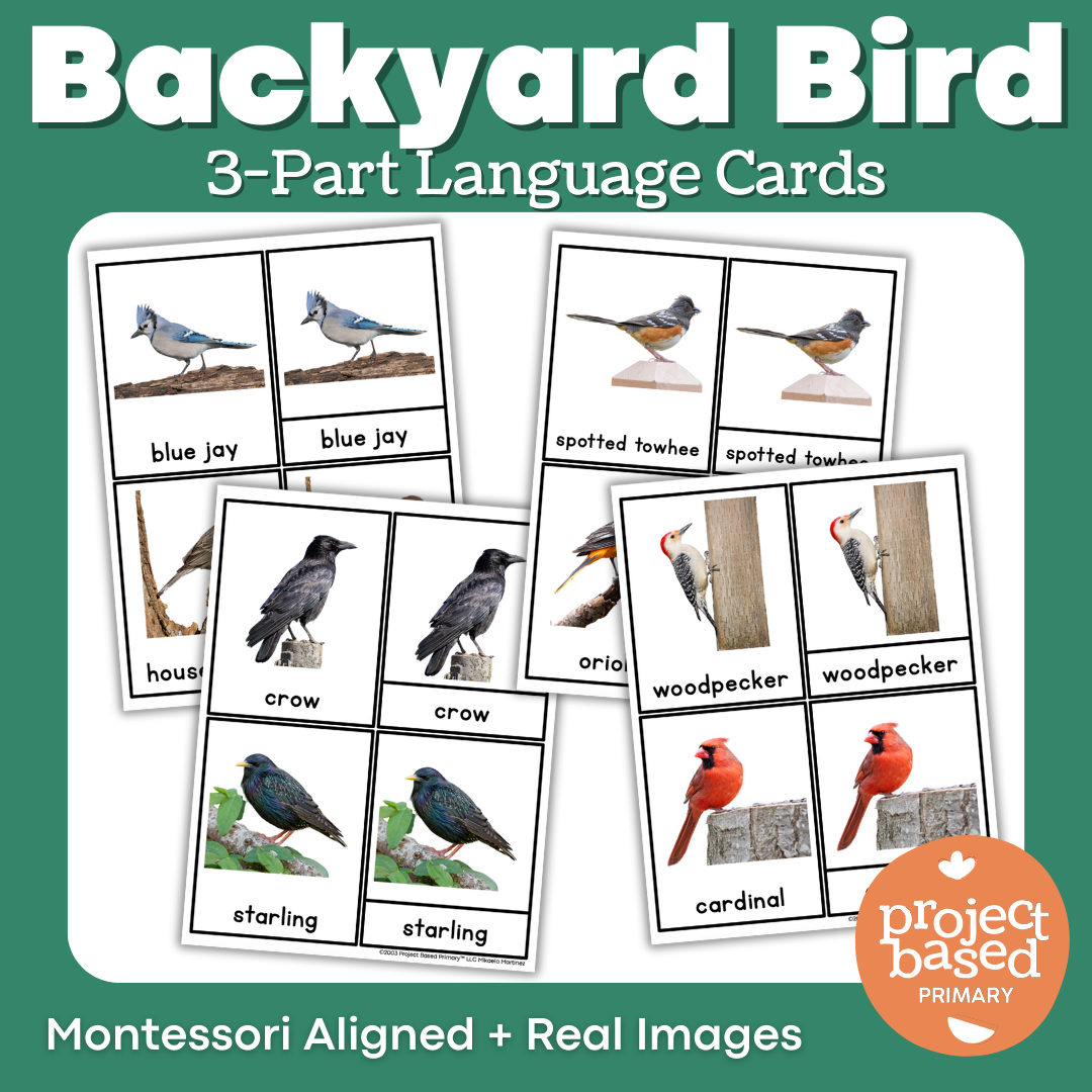 Backyard Birds 3 Part Cards – Project Based Primary