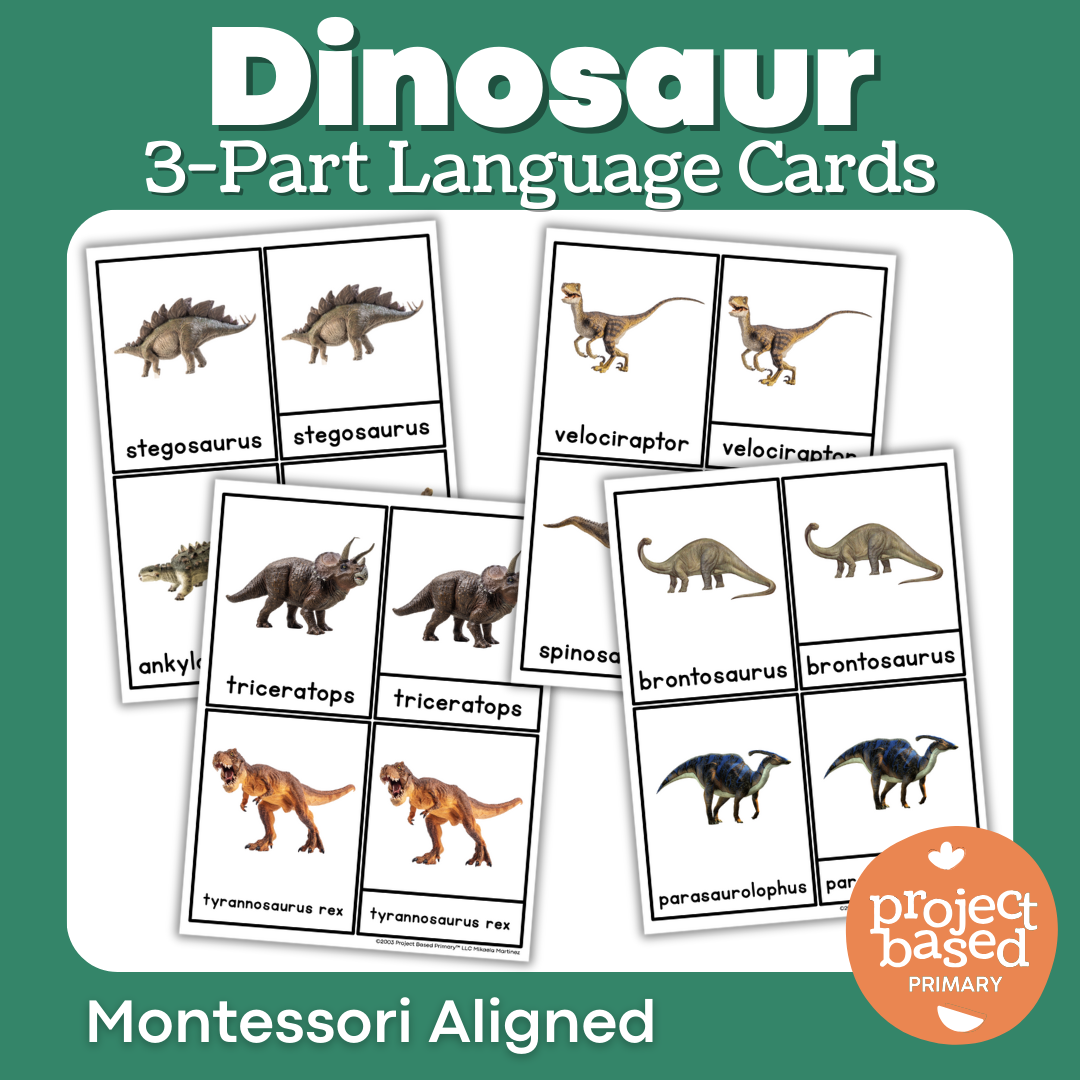 Dinosaur 3 Part Cards – Project Based Primary