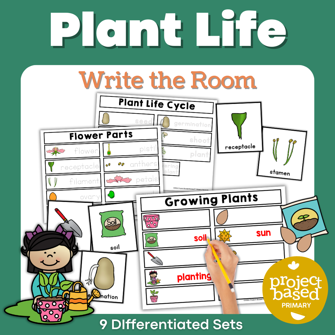 Plant Life and Flowers Write the Room Scavenger Hunt – Project Based ...