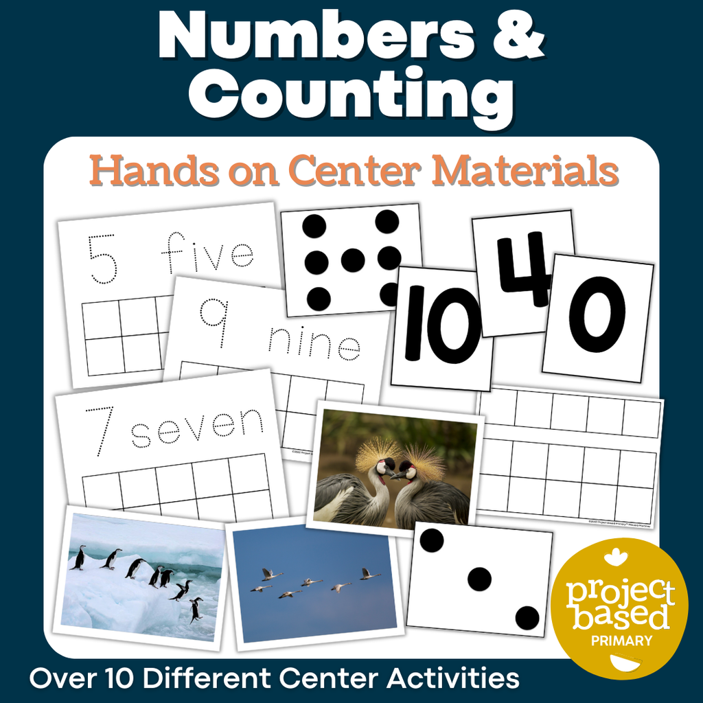 Beginning Numbers and Counting Center Materials Pack