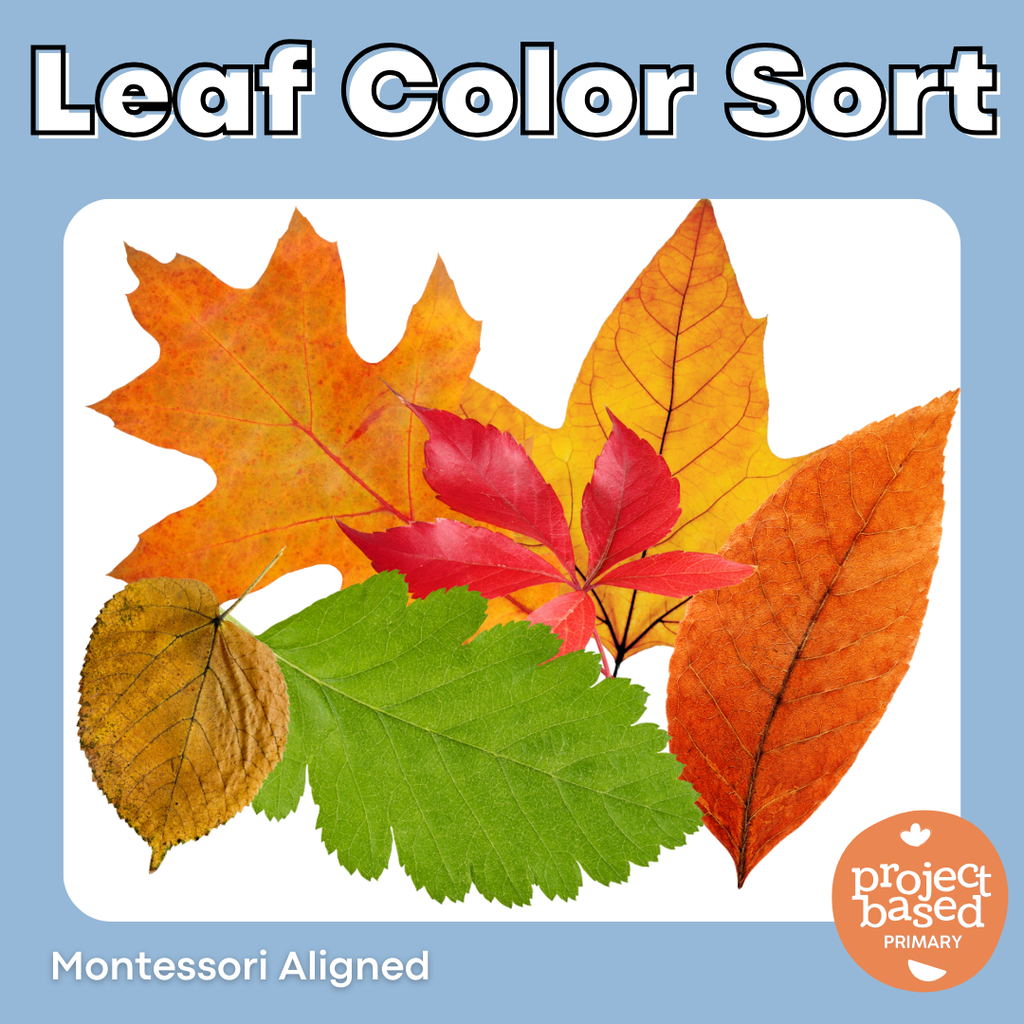 Leaf Color Sort
