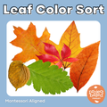 Leaf Color Sort