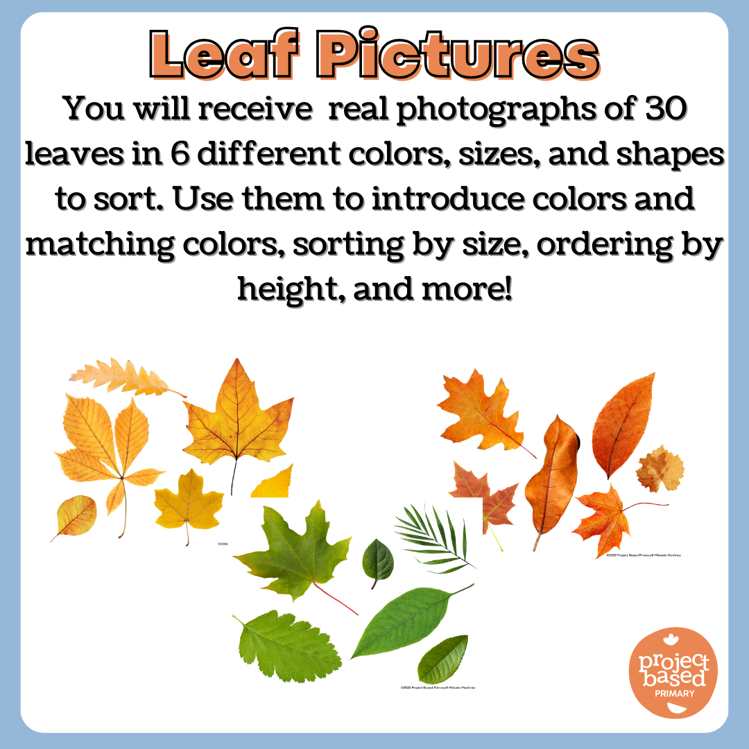 Leaf Color Sort