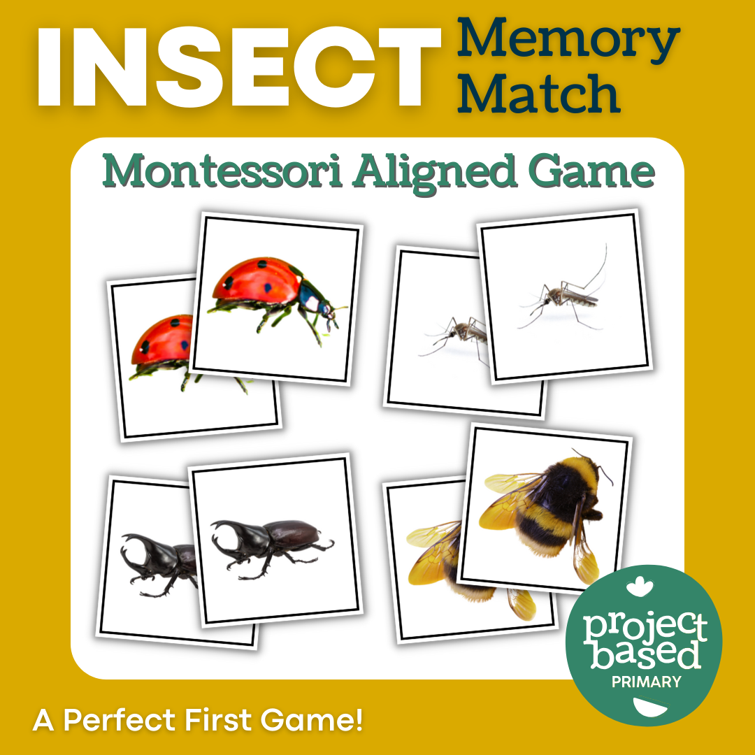 Insect Memory Match Game