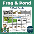 Frog and Pond 3 Part Cards