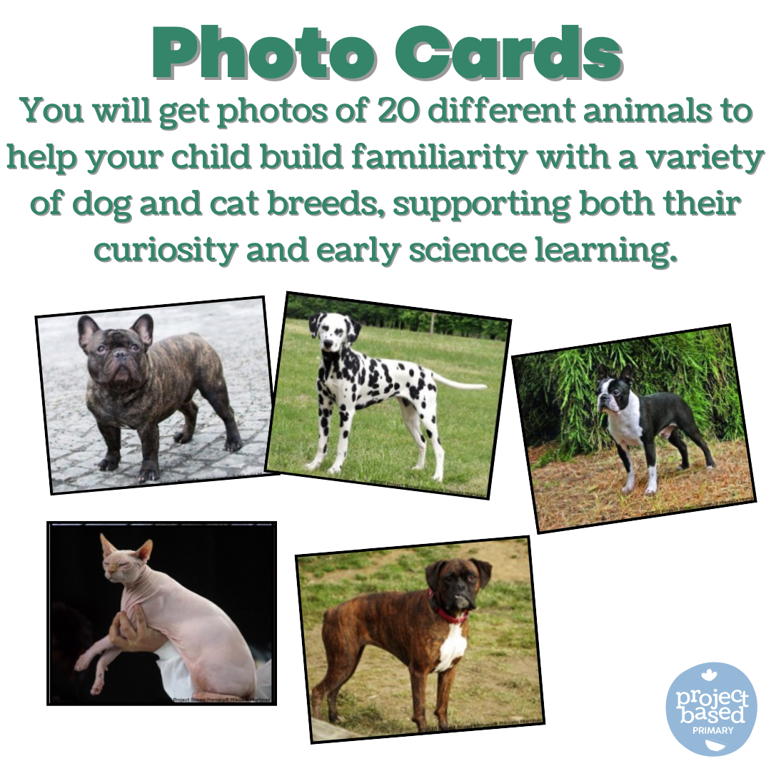 Cat & Dog Matching Cards (Safari Ltd Compatible) Montessori Aligned