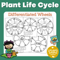 Plant Life Cycle Wheels