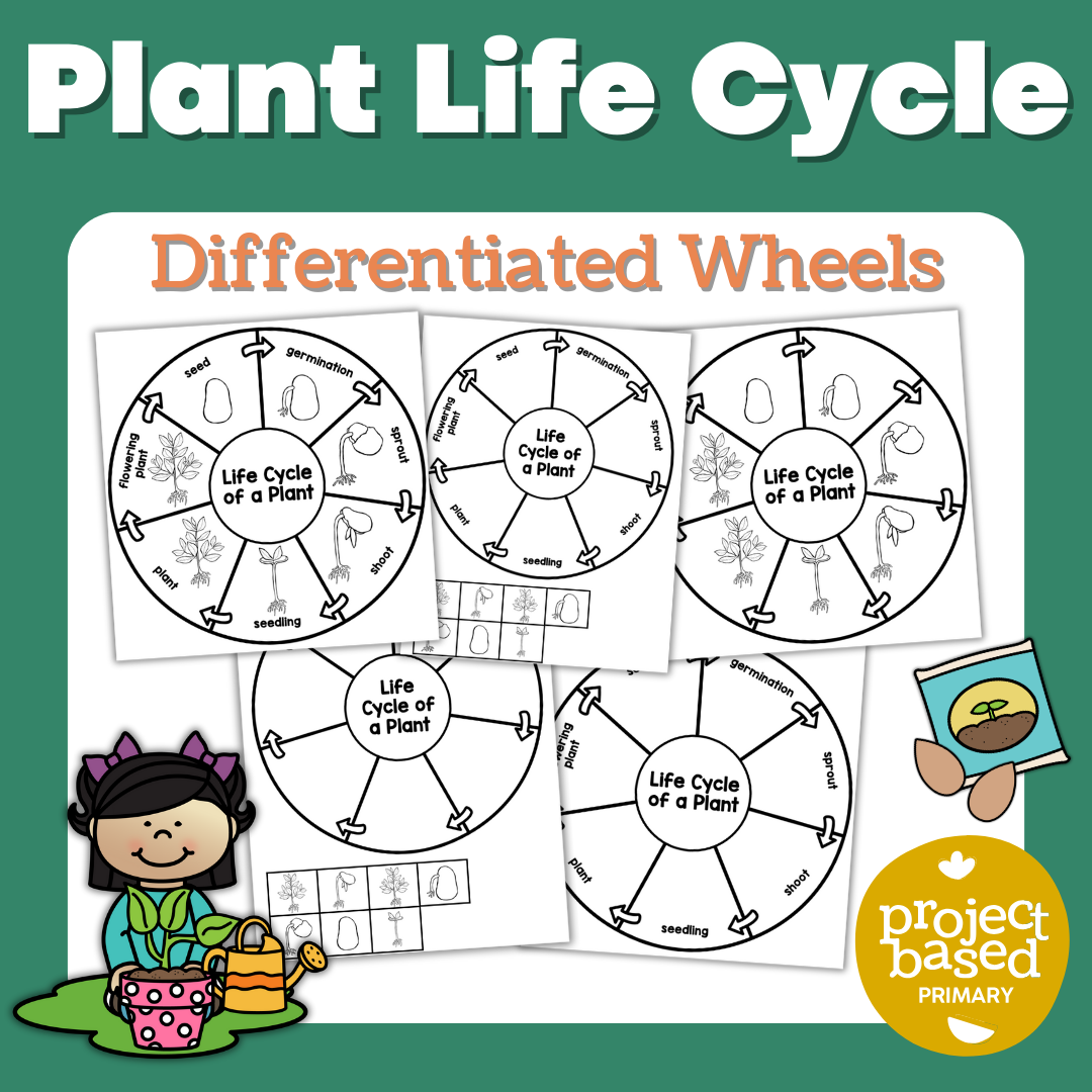 Plant Life Cycle Wheels