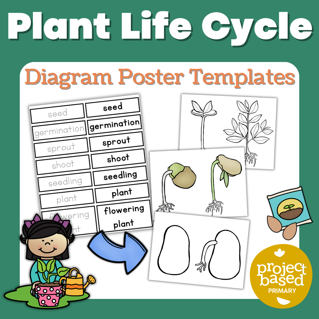Plant Life Cycle Diagram Build Your Own Poster or Book