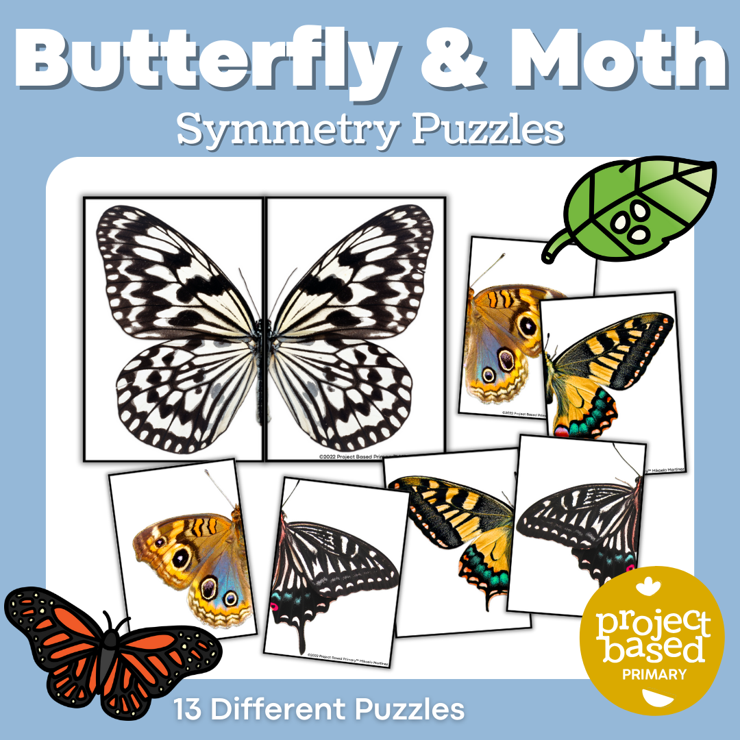 Butterfly and Moth Symmetry Puzzles