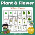 Plant and Flower 3 Part Cards