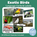 Exotic Birds Matching Cards