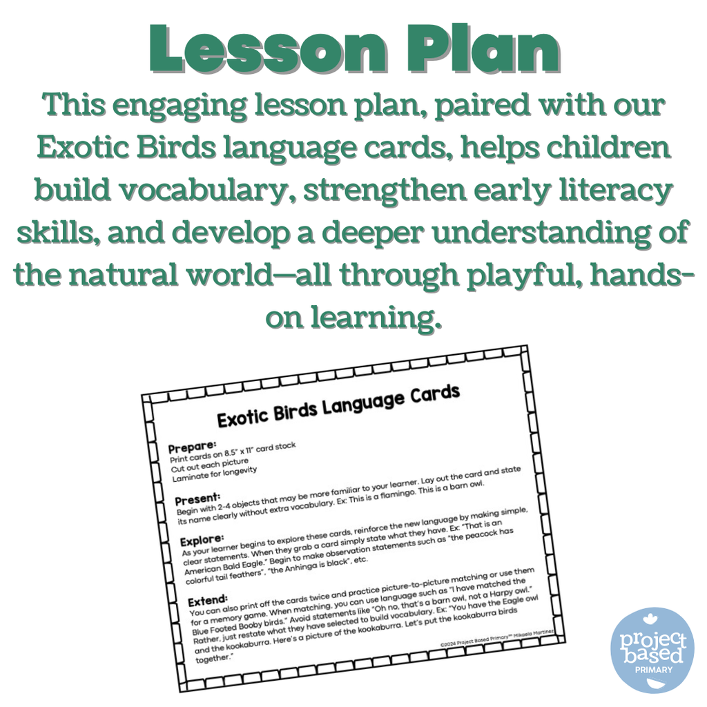 Exotic Birds Matching Cards