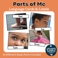 Parts of Me Body Parts Cards