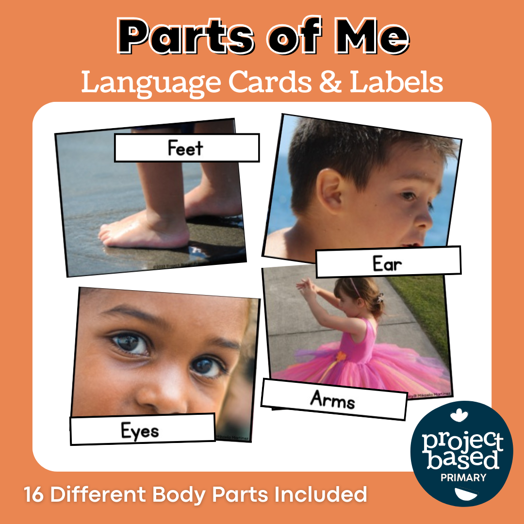 Parts of Me Body Parts Cards
