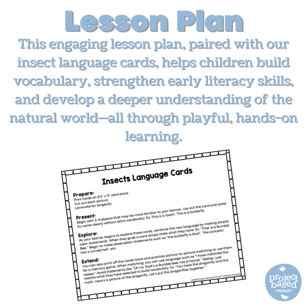 Montessori Insect Matching Cards (Safari Toob compatible)
