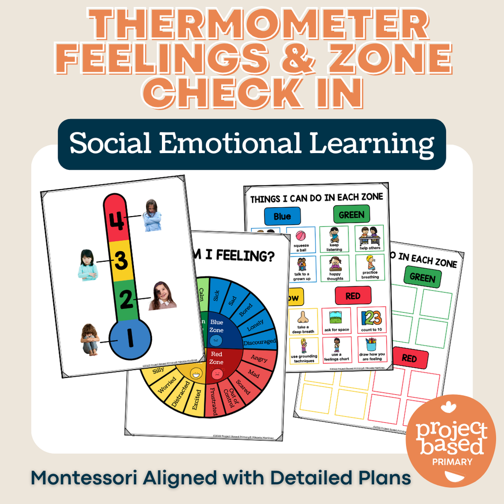Thermometer Feelings/Zones Check In | Social Emotional Learning