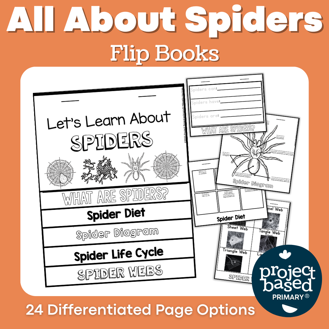 All About Spiders Flip Book
