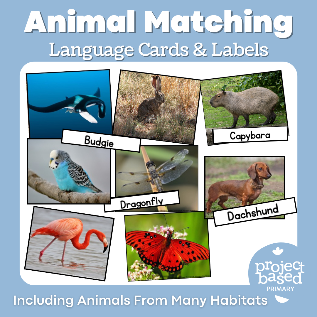 Montessori Animal Matching BUNDLE!