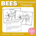 Bee Diagrams