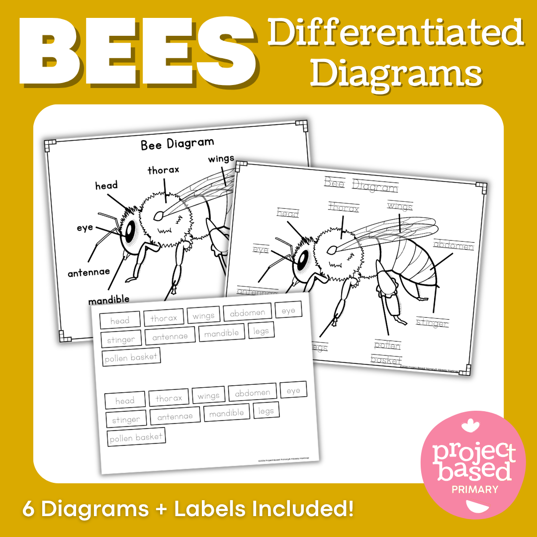 All About Bees Project Based Learning Research Bundle
