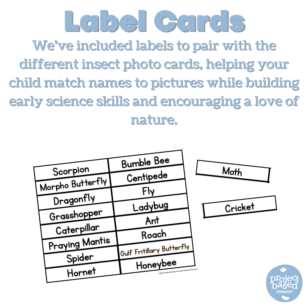 Insect Matching Language Cards