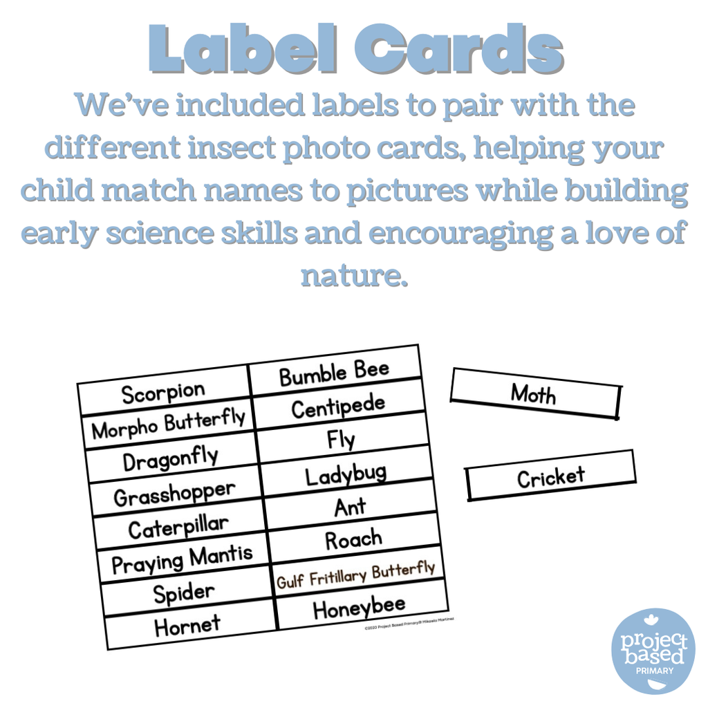 Montessori Insect Matching Cards (Safari Toob compatible)