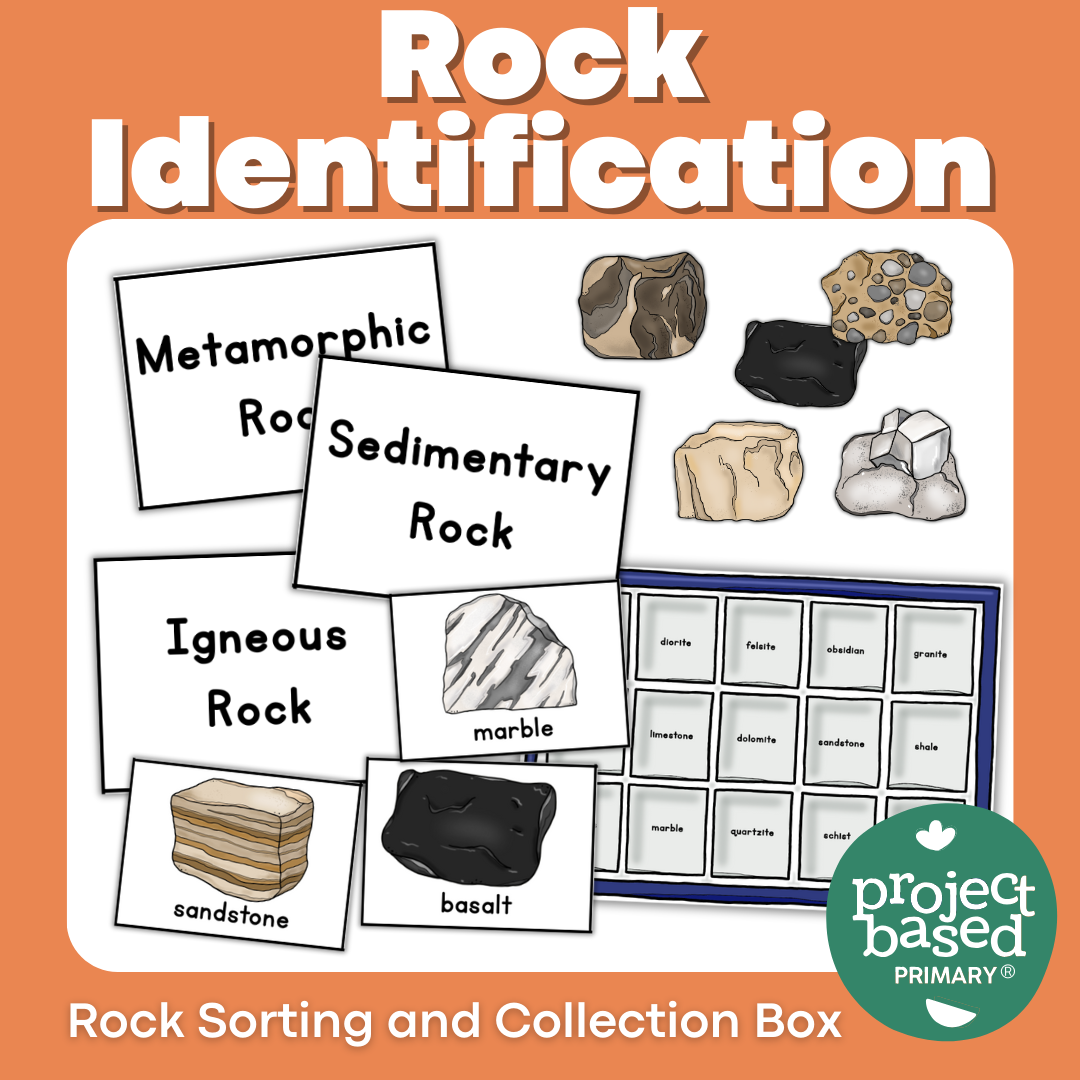 Rock Identification Sort - Igneous, Sedimentary, Metamorphic