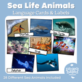 Sea Life Animal Matching Cards