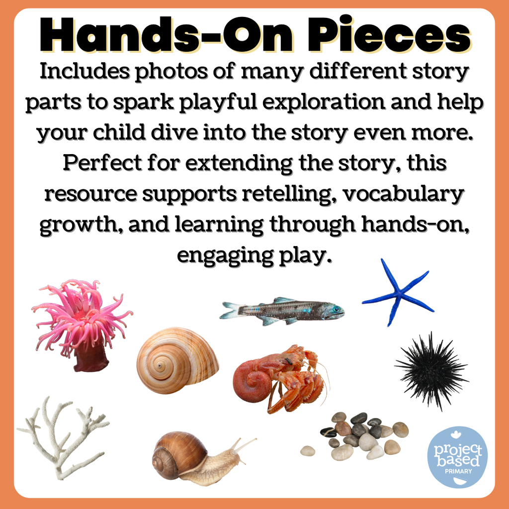 A House for Hermit Crab Storybook Series Book 5