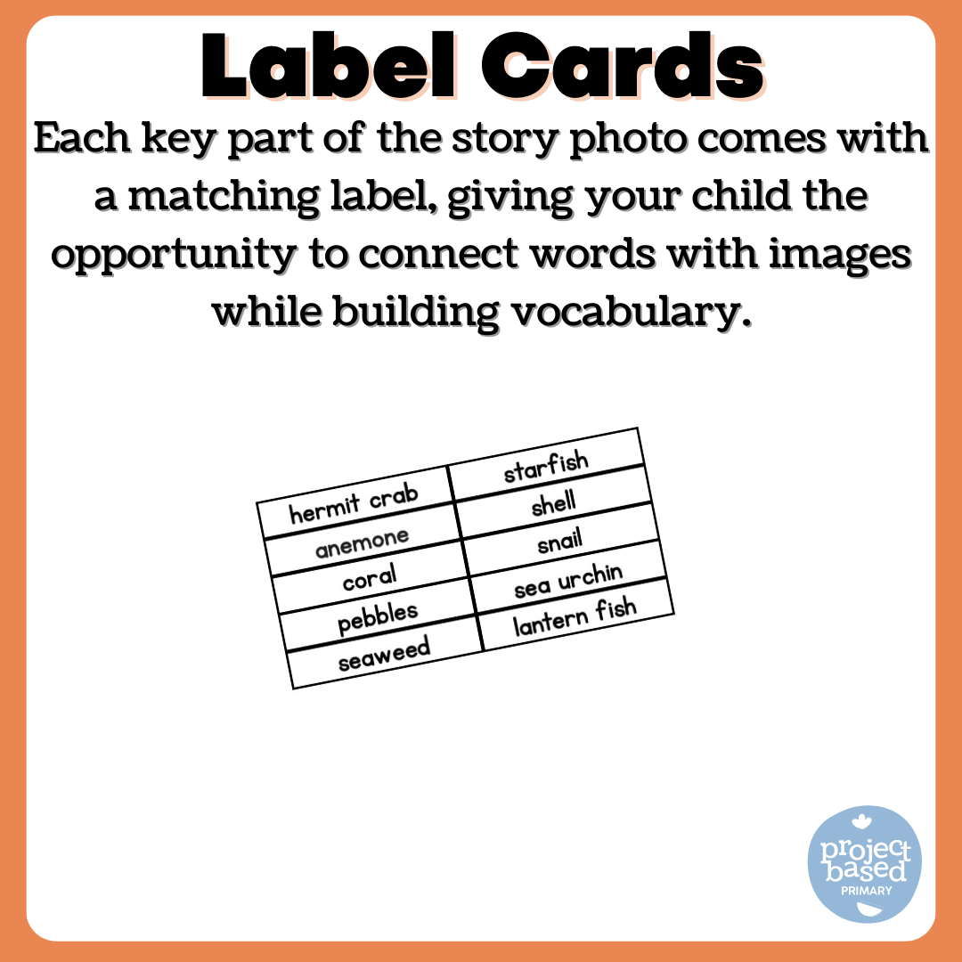 A House for Hermit Crab Storybook Series Book 5