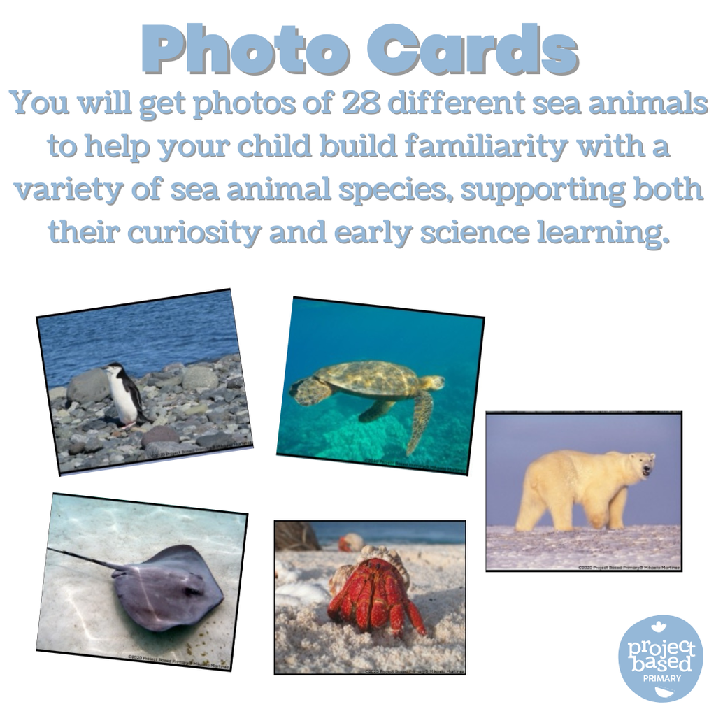 Sea Life Animal Matching Cards