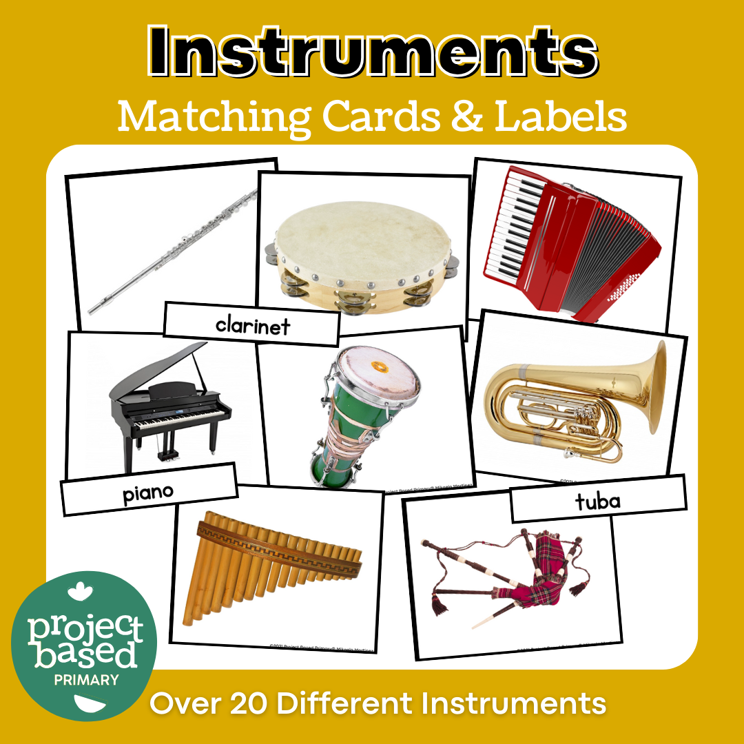 Montessori Instrument Matching Cards (Safari Ltd Toob Compatible)