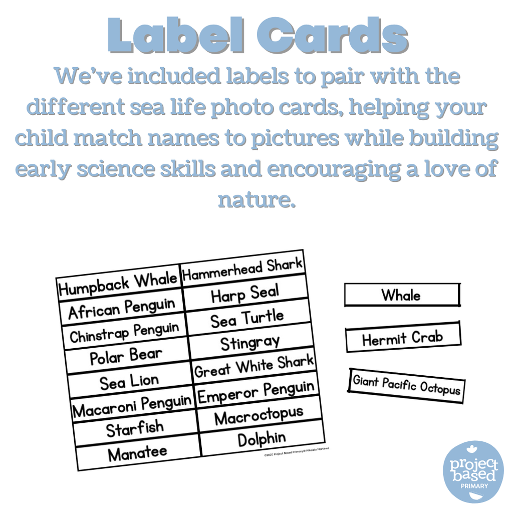 Sea Life Animal Matching Cards
