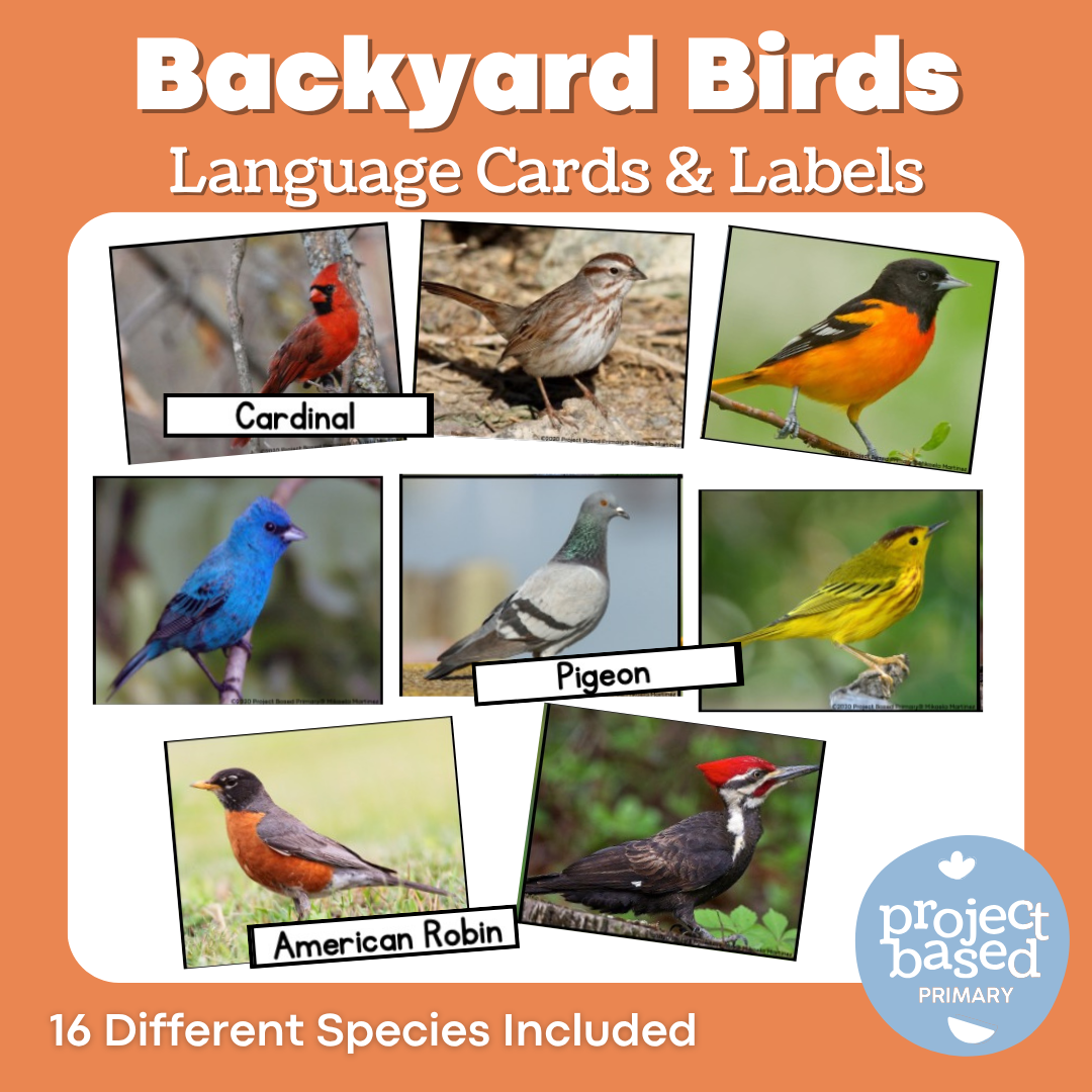 Backyard Birds Language Matching Cards (Montessori Aligned)