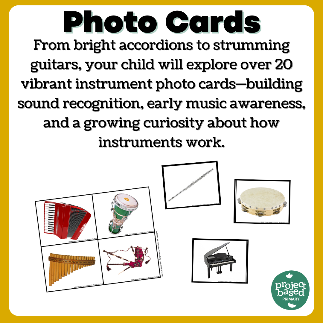 Montessori Instrument Matching Cards (Safari Ltd Toob Compatible)