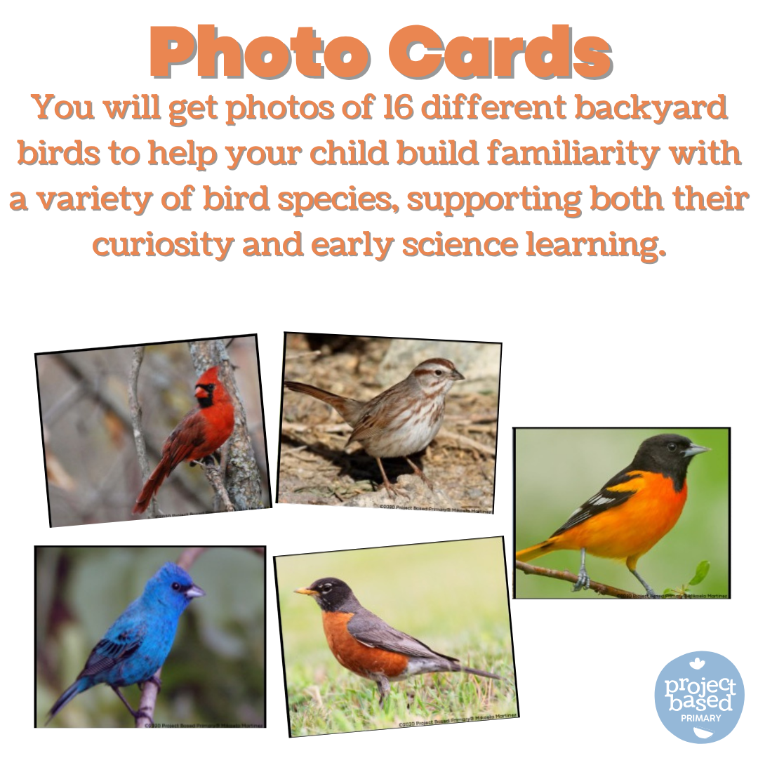 Backyard Birds Language Matching Cards (Montessori Aligned)