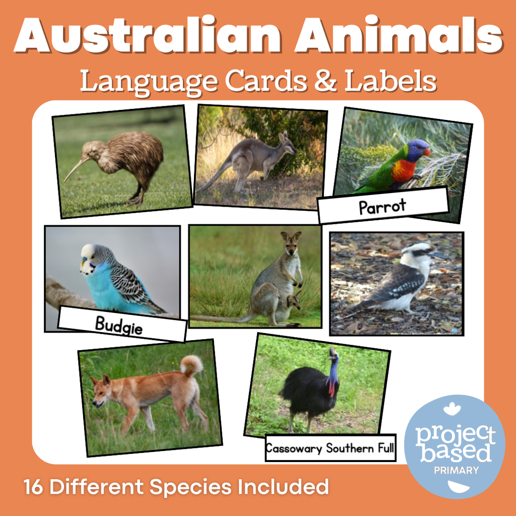 Australian Animal Matching Cards