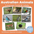 Australian Animal Matching Cards