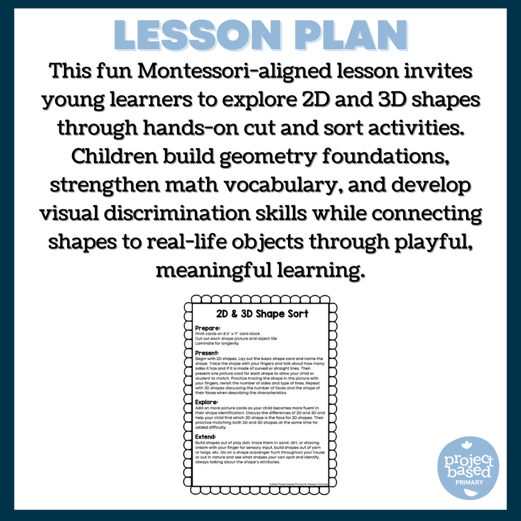 2D & 3D Shape Sort + Cut & Sort Shape Worksheets