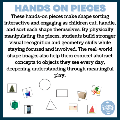 2D & 3D Shape Sort + Cut & Sort Shape Worksheets