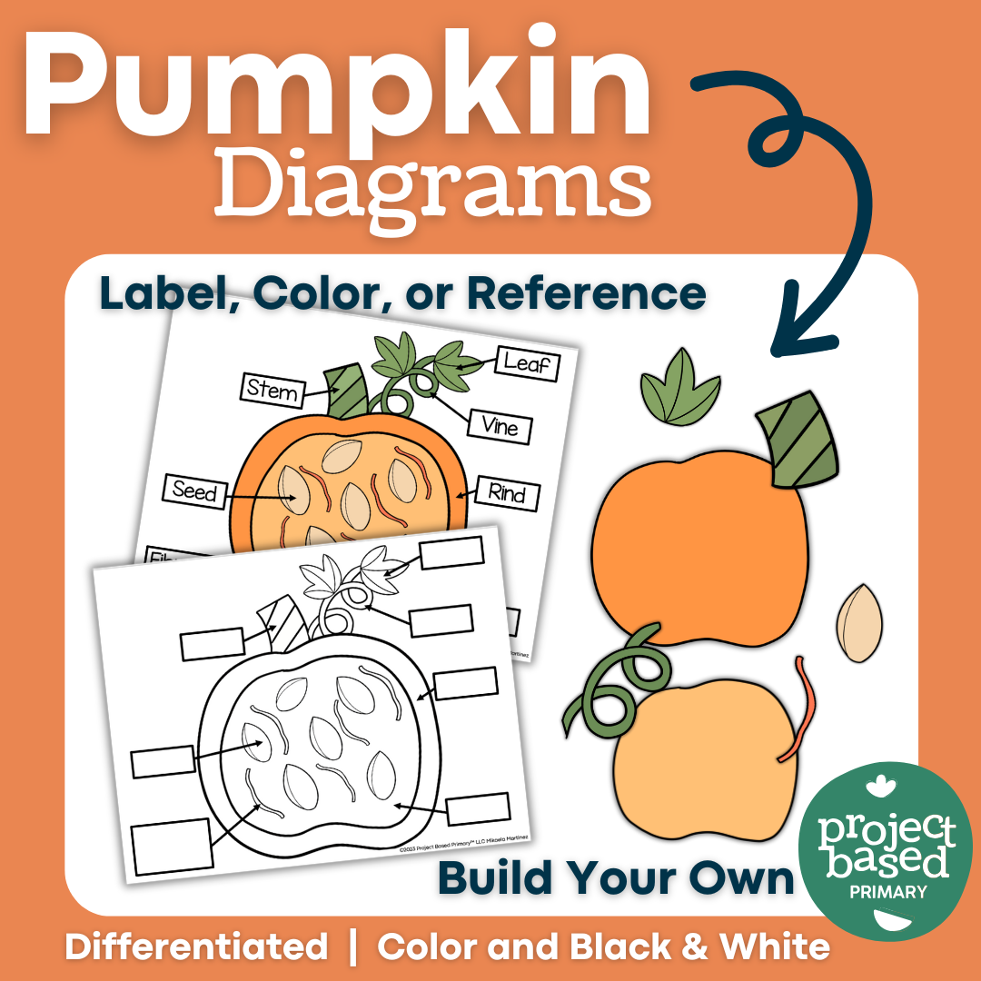 Pumpkin Diagrams