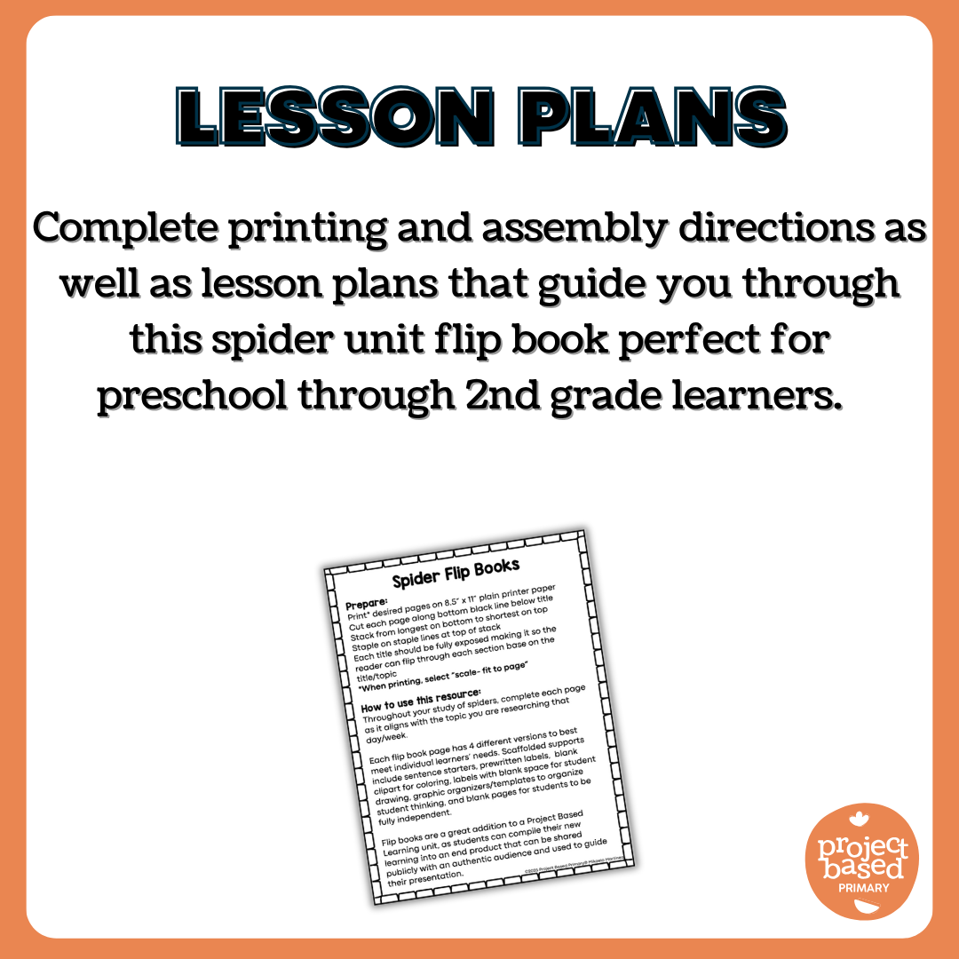 All About Spiders Flip Book