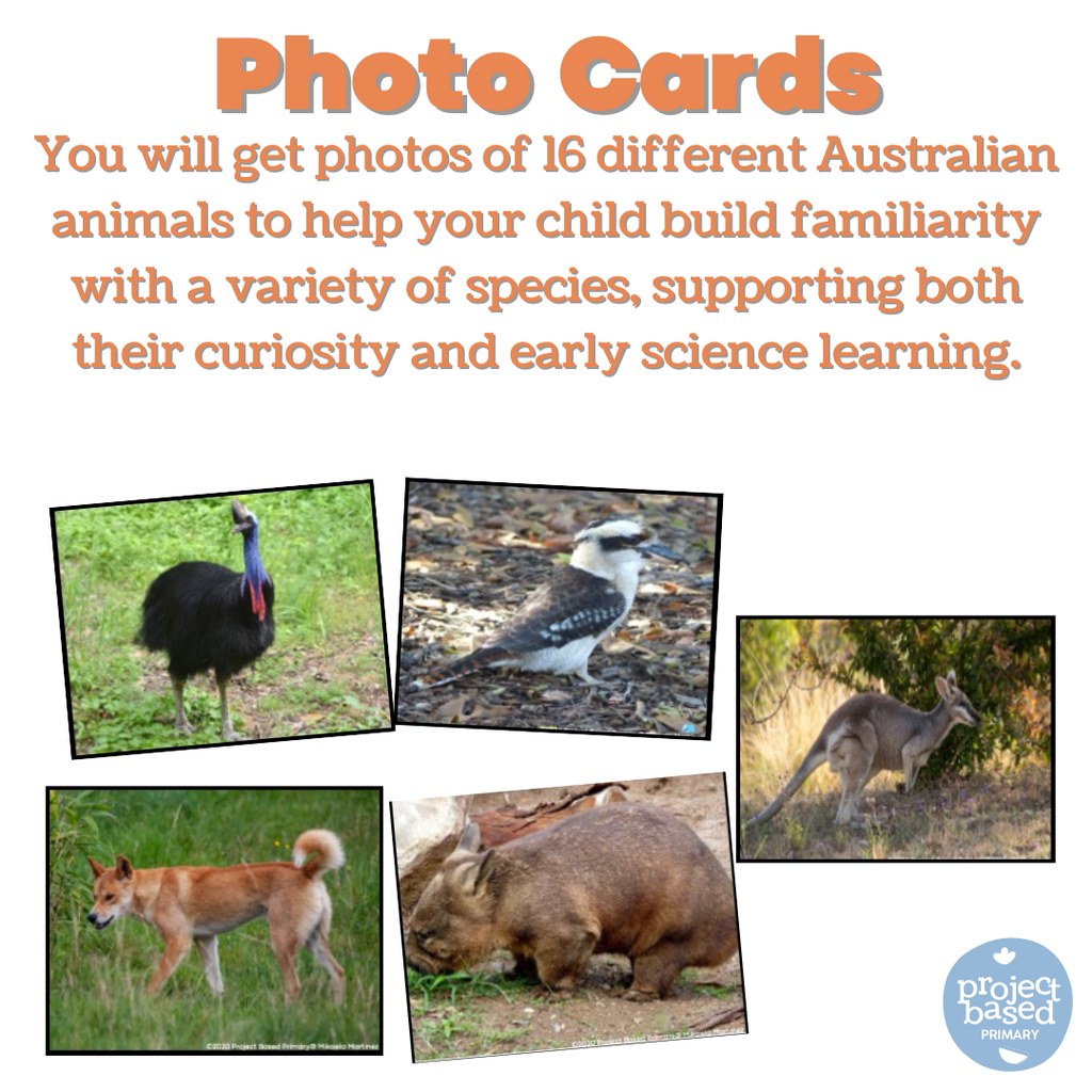 Australian Animal Matching Cards