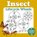 Insect Life Cycle Wheels