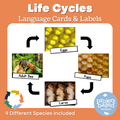 Life Cycles of Living Things