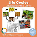 Life Cycles of Living Things