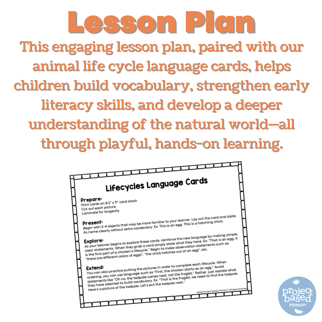 Life Cycles of Living Things